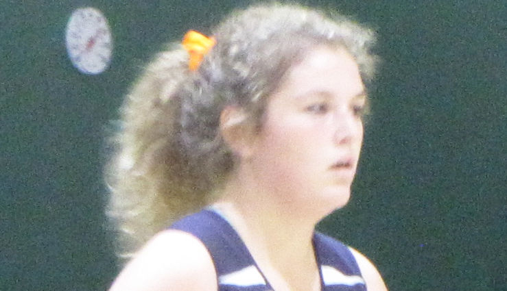 Hebron Christian School athletics